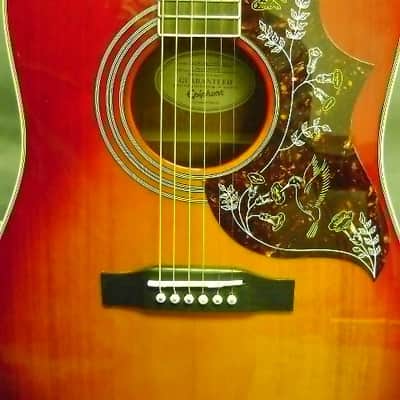 Epiphone Humingbird Artist Custom Shop Limited Edition Red Mahogany image 6