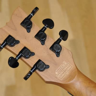 SCHECTER Solo II Standard BB Blood Burst / Les Paul type / Solo-II / CA24110413 image 13