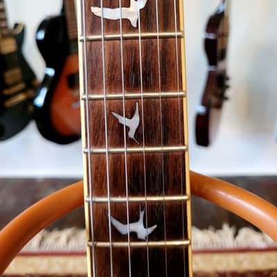 PRS SE Custom 24 - Spalted maple burst image 3
