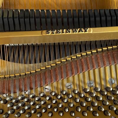 Steinway & Sons M 1927 - Mahogany Satin 256922 image 8