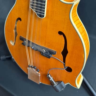Epiphone MM-50E Professional F-Style Mandolin Blonde Natural w/ LR Baggs Pickup image 7