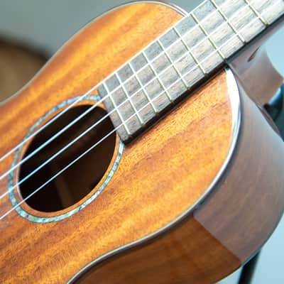 Cordoba 30T Tenor Ukulele 2010s - Solid Mahogany image 2