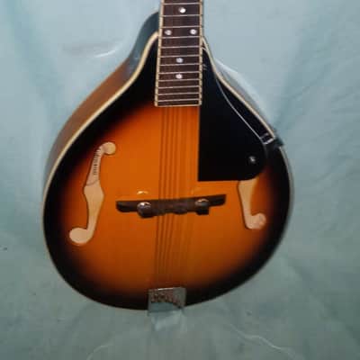 Johnson Oval Hole Acoustic Model MA-100 Needs New Strings and Tailpiece Cover image 1