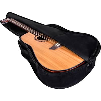Washburn AD5CEPACK Acoustic Guitar Pack, Natural image 8