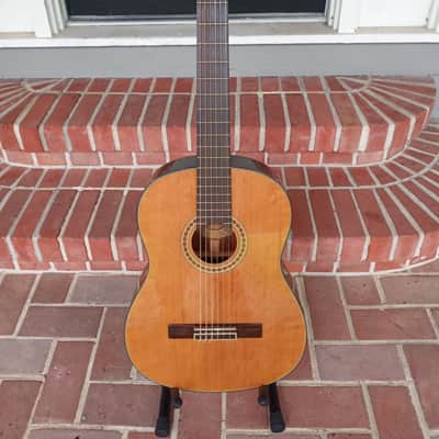 2017 Washburn C80S Madrid. Solid Cedar Top & Rosewood. image 2