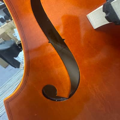 Eastman Strings. 3/4 Upright Bass. Concert Model.(Paige's)(2023)(Outfit) image 8