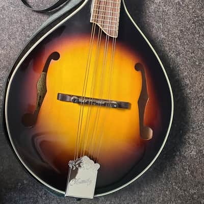 2011 Kentucky KM-250 Artist A-Style Mandolin – Original Owner – Excellent Condition image 1