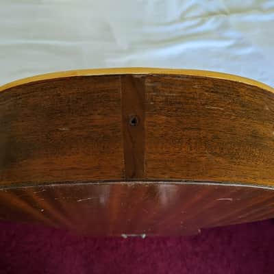 1968 Fender Newporter Acoustic Guitar image 13
