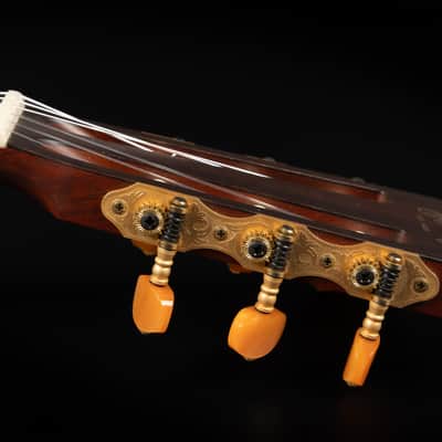 2020 Martin 000C12-16E Nylon - Natural | USA All Solid 000 Crossover Classical Guitar Cutaway Fishman Pickup | Case image 14