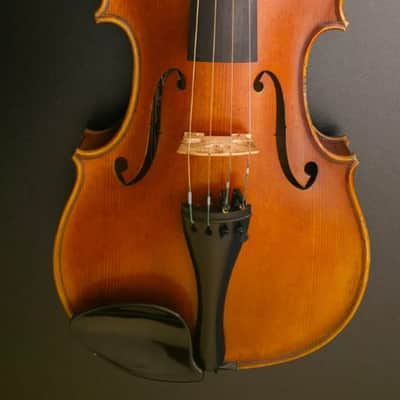 Early 20th century central european violin – labelled Giuseppe Pedrazzini – 350 mm LOB image 1