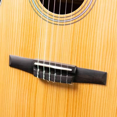 Taylor 214ce-N Nylon Grand Auditorium Acoustic/Electric Guitar with Gig Bag image 11