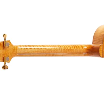 Fibonacci Roma w/Pickup Natural image 9