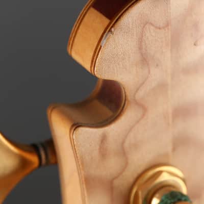 Alembic Series  II Five String Fretless Active Bass image 6