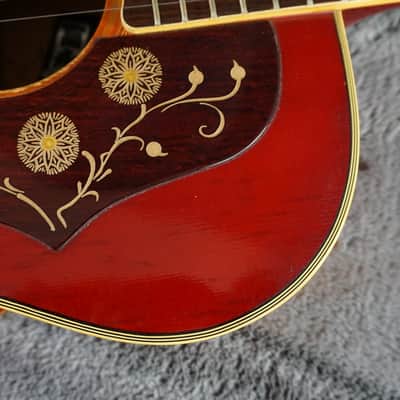 Morales M350 Jumbo Acoustic Japan Sunburst w/ Hard Case image 11