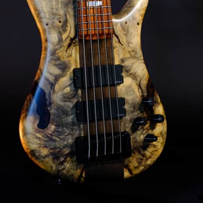 Spector (USA) NS-5 Neck-Thru 2024 - Buckeye Burl image 10