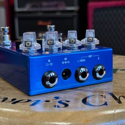 AC Noises Ricorda 2024 - Present - Blue image 6