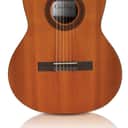 Cordoba C5 Dolce with Cordoba Polyfoam Case - Solid Cedar top, ⅞ Size Classical Guitar