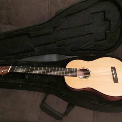 Pepe Romero Pepe Romero Signature Model 6-String with Case - NEW!! 2017 image 6