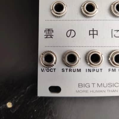 Big T Music Rangoon Mutable Instruments Rings Clone Eurorack Module image 7