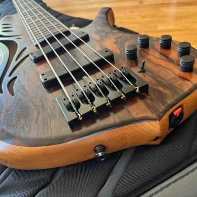 Ken Lawrence Chamberbrase II 5 string electric bass guitar LED's image 14