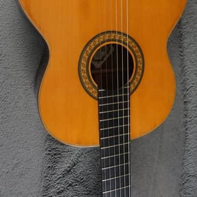 Fernandes GC-15 Hand Made Classical Japan w/ Case image 6