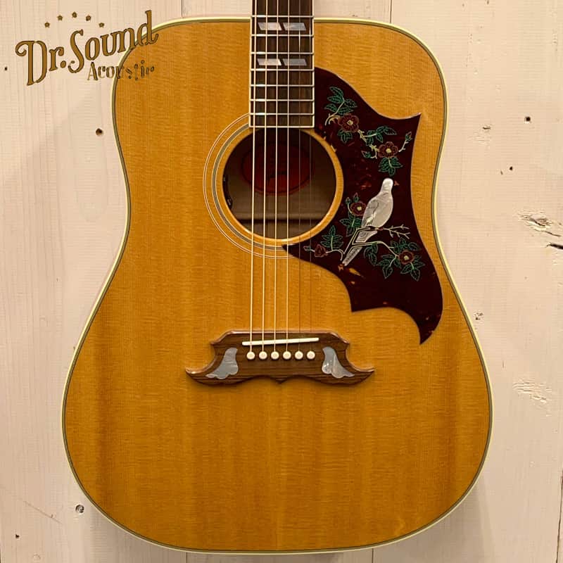 Gibson 2024 DOVE Original (Doctor Sound Stock Item) image 1