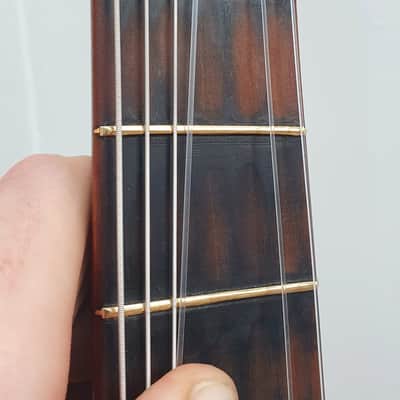 Antique Parlor Brazilian Rosewood Germany 1900 Albert Heidegger image 10