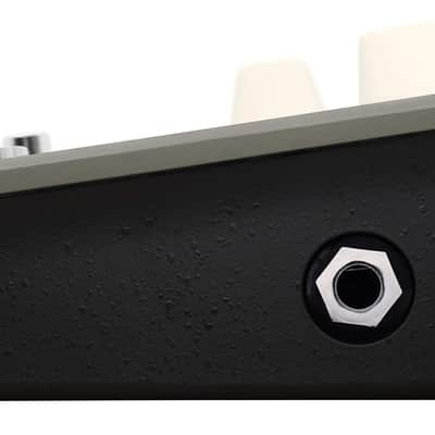 L.R. Baggs Voiceprint DI Acoustic Guitar Impulse Response Effects Pedal image 10