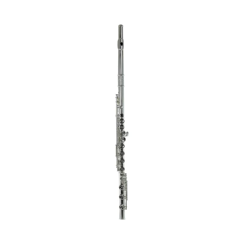John Packer JP211RBE Key of C Flye (Open Hole & B-Foot) w/Leatherette Hard Case, Cleaning Rod & Cloth image 1