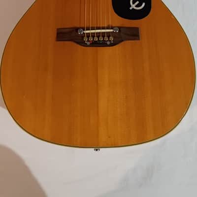 Epiphone FT-135 image 1