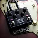 Benson Amps Delay 2024 / NEW.  "Authorized Dealer"