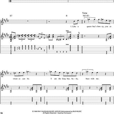 Immagine More Stevie Ray Vaughan - 11