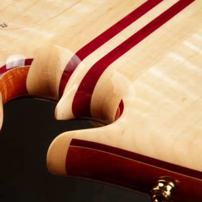 Alembic Mark King Signature Deluxe - Buckeye Burl Resin Top image 12