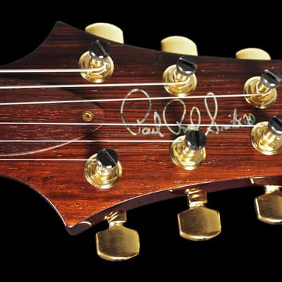 2007 / 2013 Paul Reed Smith PRS Custom 24 Artist Package Brazilian Tortoise Shell image 11