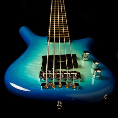 Warwick Thumb Bass Custom Shop Limited 2017 | Reverb
