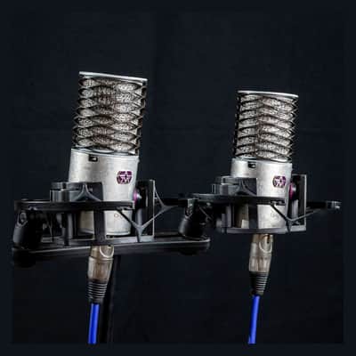 Aston Microphones Origin Large-Diaphragm Cardioid Condenser Microphone (Stereo Pair) image 3