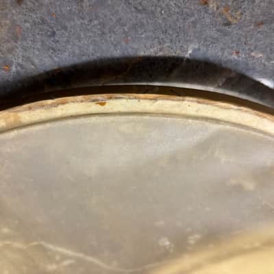 14 “ WFL Calf skin snare drum heads-1950s ? Batter & snare image 4