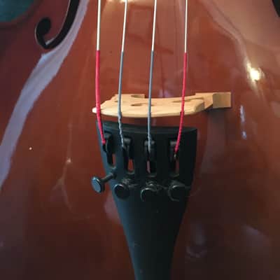Samuel / Eastman VC80 4/4 Cello image 3