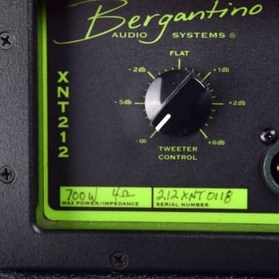 Bergantino NXT212 image 3