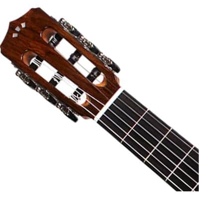 Cordoba Fusion Orchestra Cedar Nylon A/E Guitar - Teardrop Burst image 4