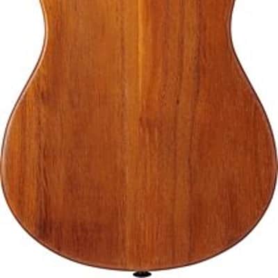 Ibanez AUT10OPN Acoustic Tenor Ukulele Open Pore Natural w/ Gig Bag image 2