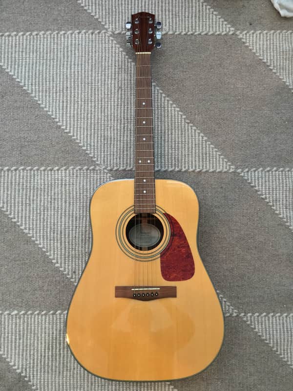 Fender DG21S Nat Early 2000's Solid Spruce | Reverb