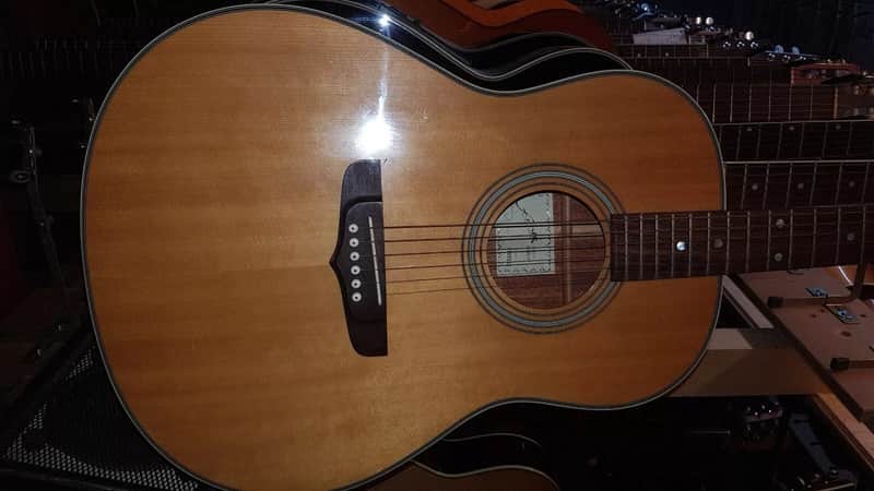 1991 FENIX D 60 M STEEL STRING ACOUSTIC - made in KOREA image 1