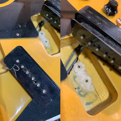 Gibson Les Paul Special 1997 TV Yellow Yamano Music w/ OHSC image 24
