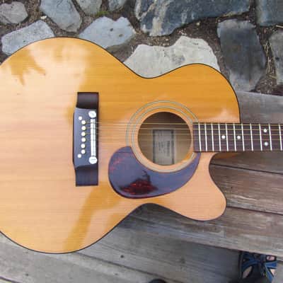 Harptone S-6NC Sultan guitar Sam Koontz vintage 1960s 1970s Vintage arched back cutaway image 14