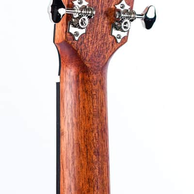Eastman E1 OOSS Sunburst image 6