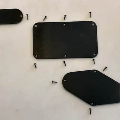 PEAVEY® USA WOLFGANG STANDARD BACK CONTROL PLATES WITH SCREWS =VAN HALEN= image 1