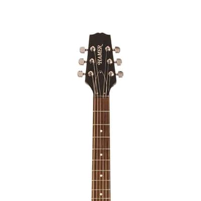Hamer SATFW-DCB The Archtop Double Cutaway Mahogany Neck 6-String