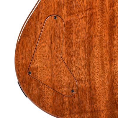 PRS Private Stock #11767 Paul's Guitar Curly Maple/African Mahogany Rainforest Glow w/Stained Neck/Fingerboard & Birds of a Feather Inlay (Serial #0406986) image 13