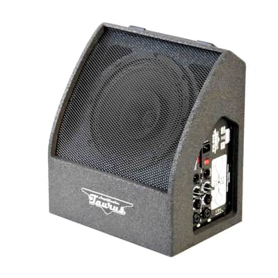Taurus FR-210.V2 FRFR Active Guitar Speaker Cabinet 10"/200Watt image 4
